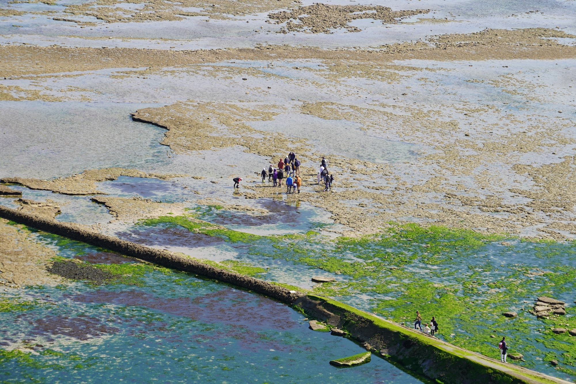 Vivez l’Île de Ré autrement