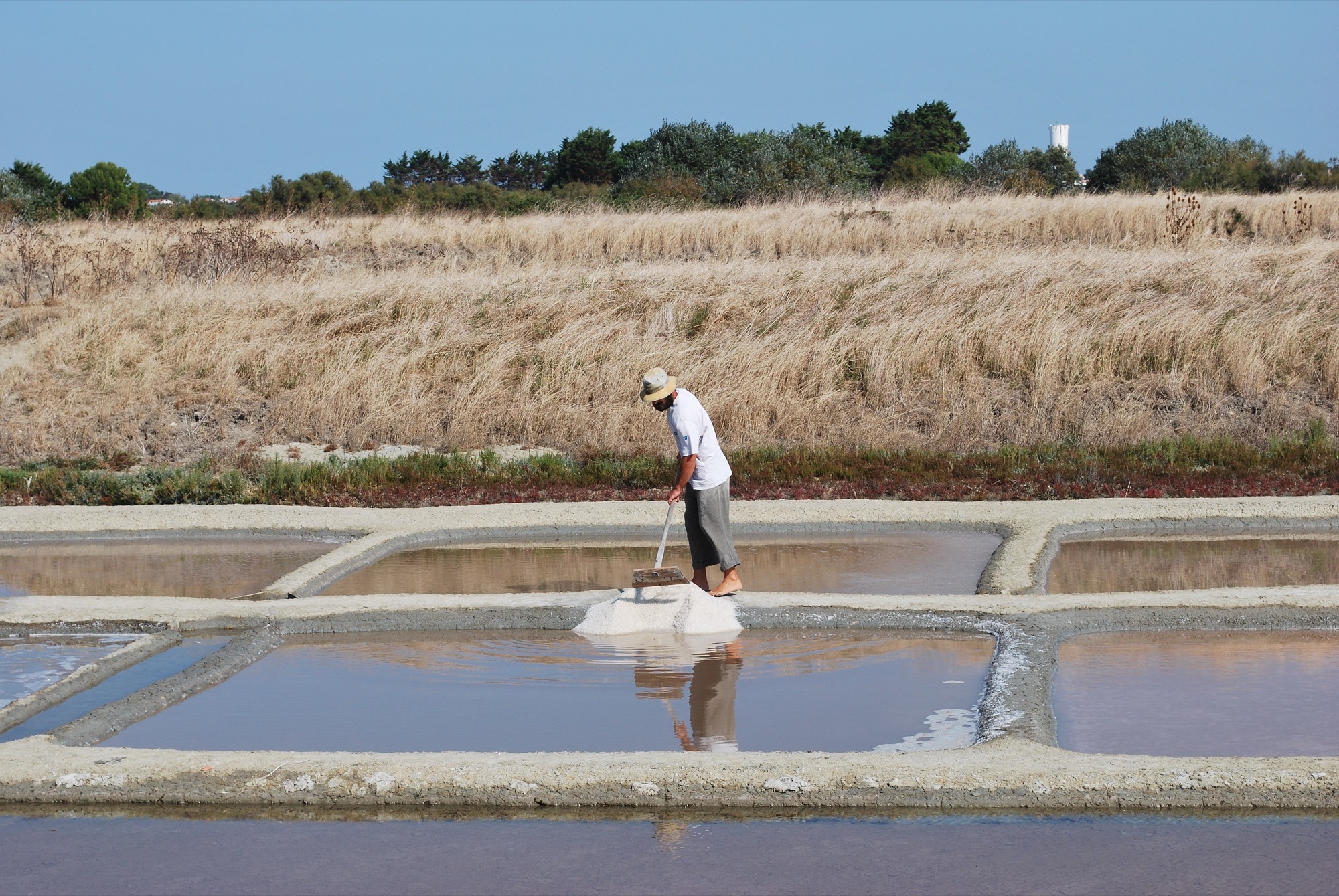 Vivez l’Île de Ré autrement